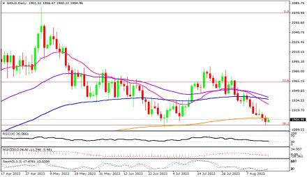 Daily Forex Guide