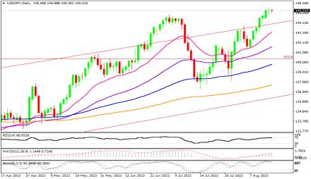 Daily Forex Guide