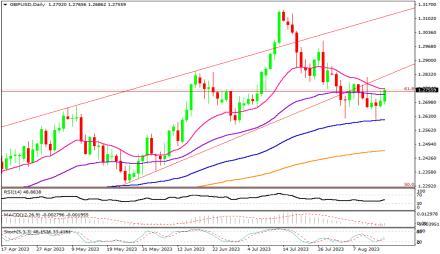 Daily Forex Guide