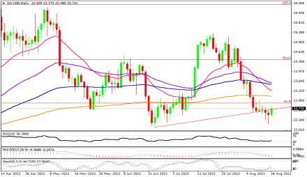 Daily Forex Guide