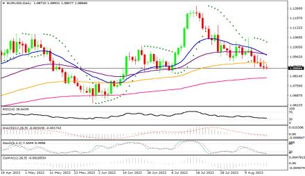 Daily Forex Guide