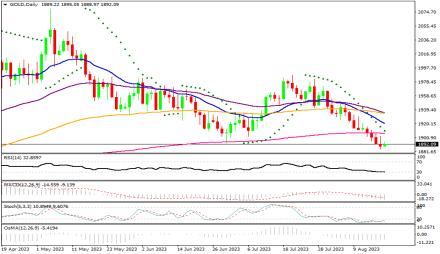 Daily Forex Guide