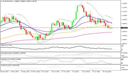 Daily Forex Guide