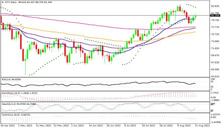 Daily Forex Guide