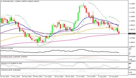 Daily Forex Guide