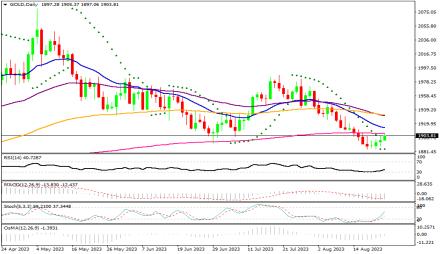 Daily Forex Guide