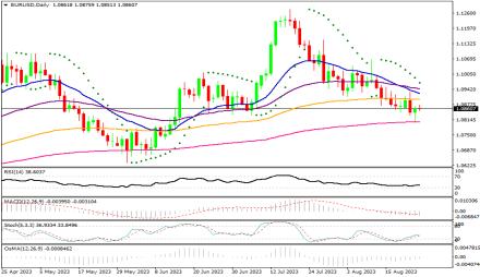 Daily Forex Guide