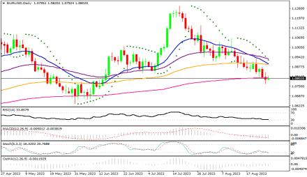 Daily Forex Guide