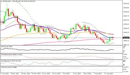 Daily Forex Guide