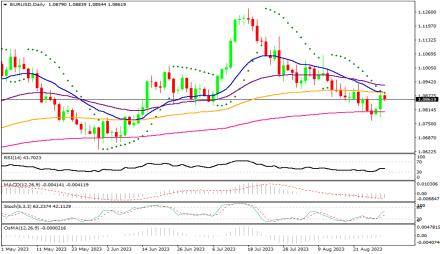 Daily Forex Guide