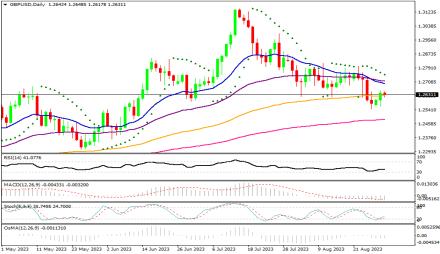 Daily Forex Guide