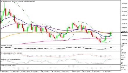 Daily Forex Guide