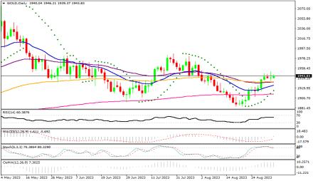 Daily Forex Guide