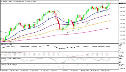 Daily Forex Guide