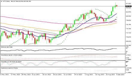 Daily Forex Guide