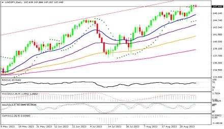 Daily Forex Guide