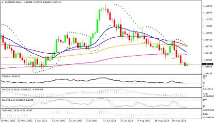 Daily Forex Guide