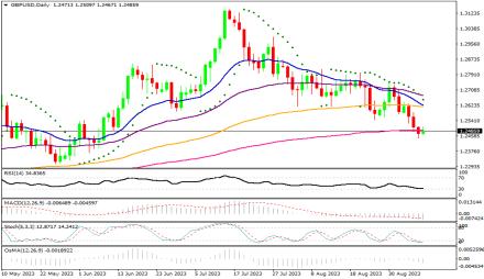 Daily Forex Guide