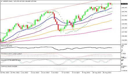 Daily Forex Guide