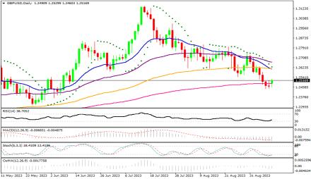 Daily Forex Guide