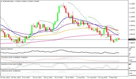 Daily Forex Guide