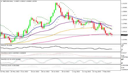 Daily Forex Guide