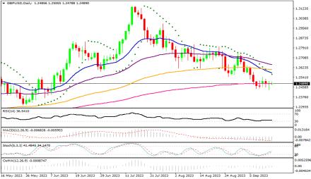 Daily Forex Guide