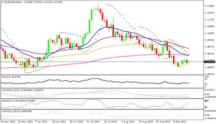 Daily Forex Guide