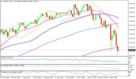 Daily Forex Guide