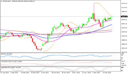 Daily Forex Guide