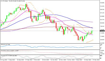 Daily Forex Guide