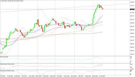 Daily Forex Guide