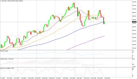 Daily Forex Guide